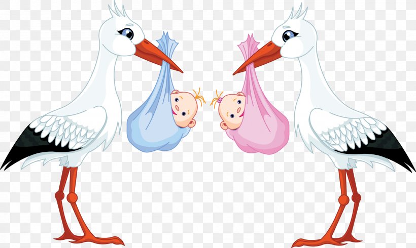 Infant Clip Art, PNG, 2000x1196px, Infant, Artwork, Beak, Bird, Chicken Download Free