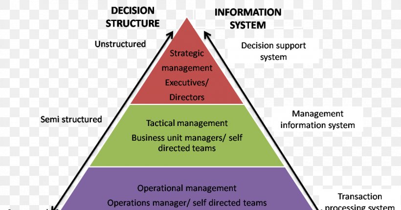 Management Information System Transaction Processing System Decision Support System, PNG, 1200x630px, Management Information System, Area, Brand, Business, Cone Download Free