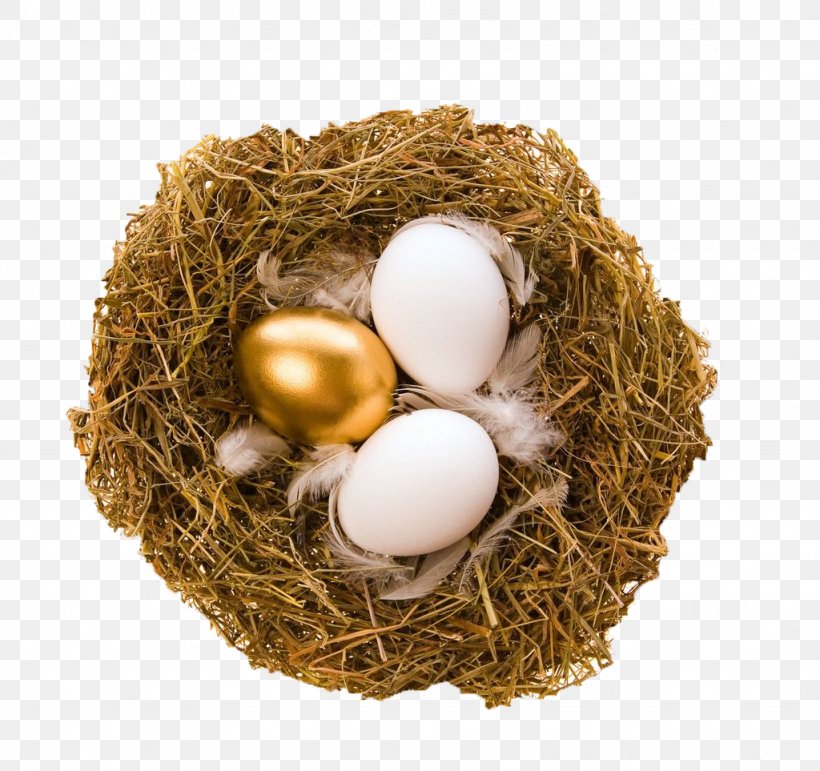 Quail Bird Nest Egg Bird Nest, PNG, 1024x963px, Quail, Bird, Bird Egg, Bird Nest, Common Quail Download Free