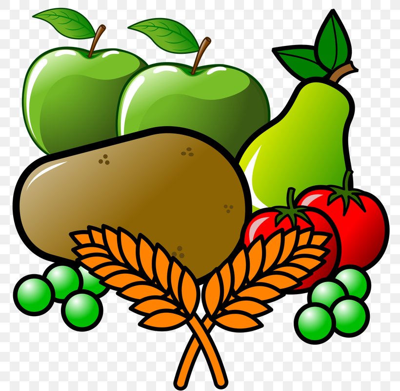 Clip Art Vegetable Illustration Cartoon Insect, PNG, 800x800px, Vegetable, Apple, Artwork, Butterfly, Cartoon Download Free