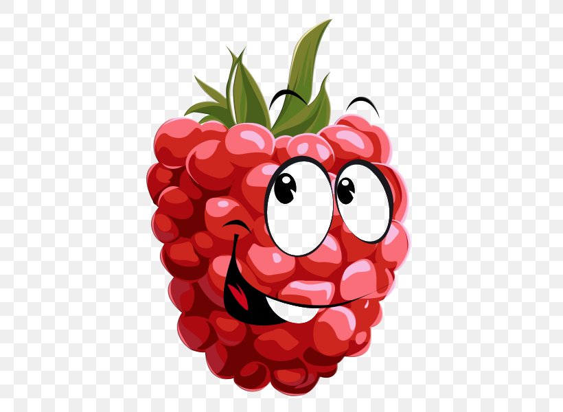 Fruit Raspberry Clip Art, PNG, 600x600px, Fruit, Berry, Blackberry, Boysenberry, Flower Download Free