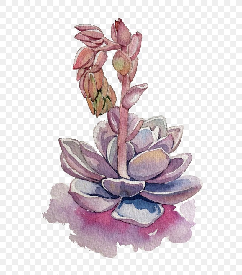 Succulent Plant Purple, PNG, 700x933px, Succulent Plant, Art, Color, Designer, Flora Download Free
