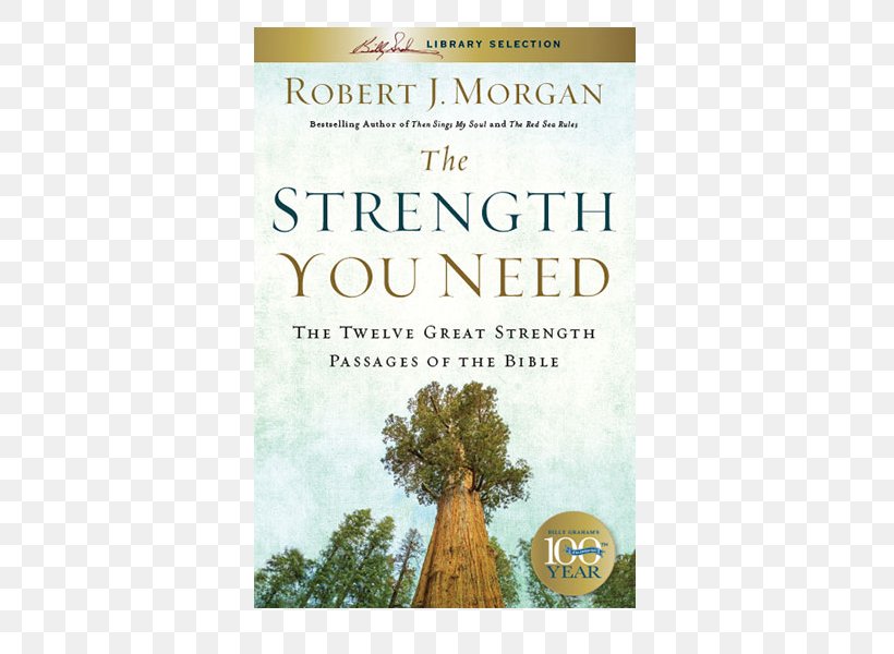 The Strength You Need: The Twelve Great Strength Passages Of The Bible Only One Life: A Biography Of Mabel Francis Book The Red Sea Rules The Same God Who Led You In Will Lead You Out, PNG, 600x600px, Bible, Bible Story, Bible Study, Book, Chapters And Verses Of The Bible Download Free
