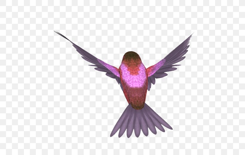 Bird Image Animal Vector Graphics, PNG, 500x520px, Bird, Animal, Beak, Blackcapped Kingfisher, Blog Download Free