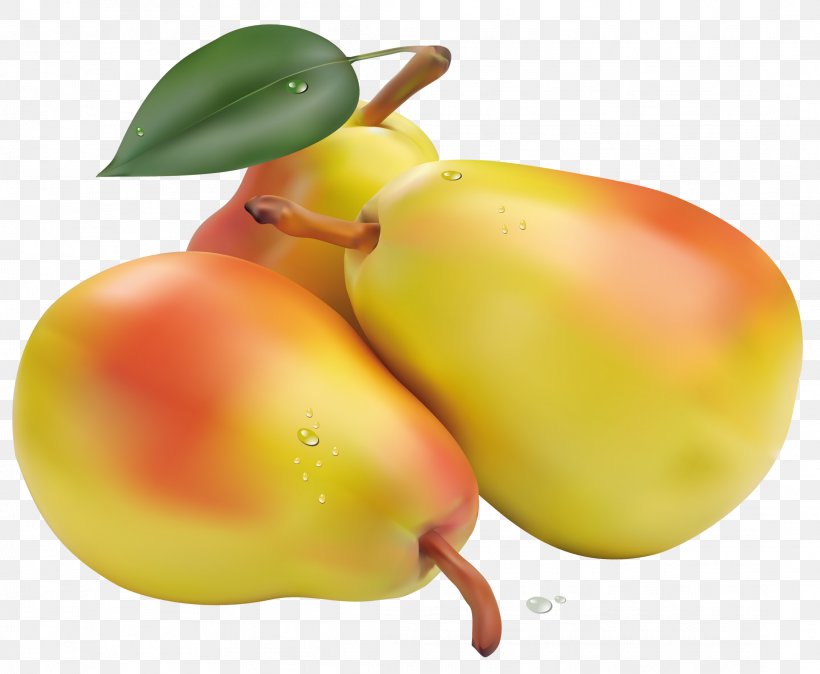Pear Fruit Clip Art, PNG, 2187x1800px, Pear, Accessory Fruit, Apple, Apricot, Cake Download Free