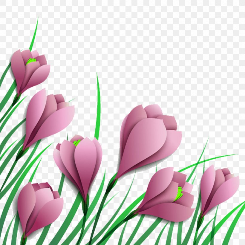 Autumn Crocus Purple Clip Art, PNG, 999x999px, Autumn Crocus, Art, Crocus, Drawing, Floral Design Download Free