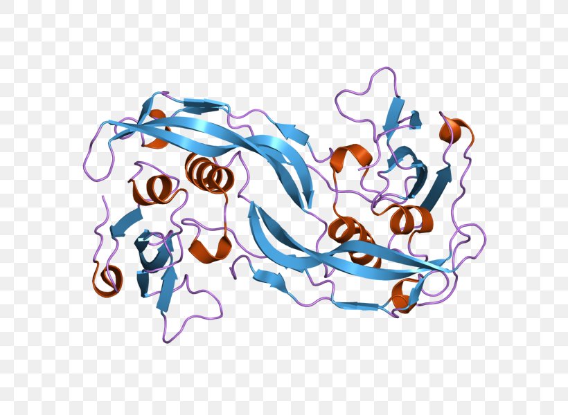 Bone Morphogenetic Protein 2 BMPR1A Bone Morphogenetic Protein Receptor, PNG, 800x600px, Watercolor, Cartoon, Flower, Frame, Heart Download Free