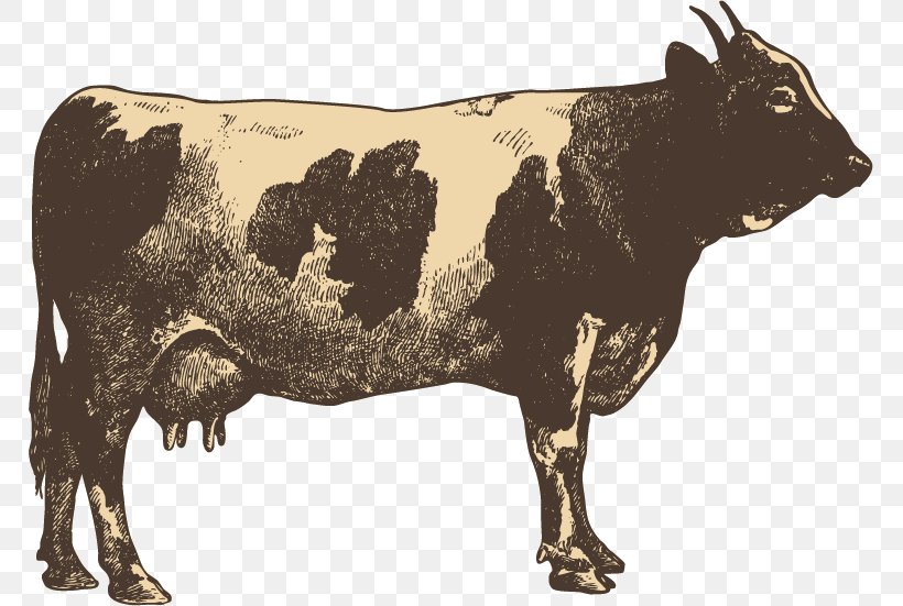 Campylobacter Jejuni Blandford Fair Cattle Transmission Food, PNG, 767x551px, Campylobacter Jejuni, Blandford, Blandford Fair, Bull, Campylobacter Download Free