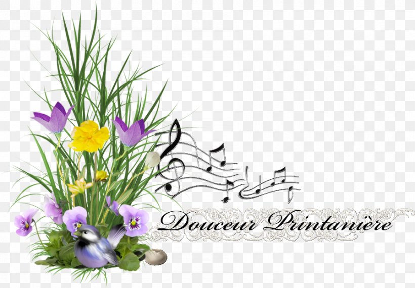 Floral Design Cut Flowers Banjo Uke Mini-USB, PNG, 896x623px, Floral Design, Banjo, Banjo Uke, Classical Guitar, Concert Download Free
