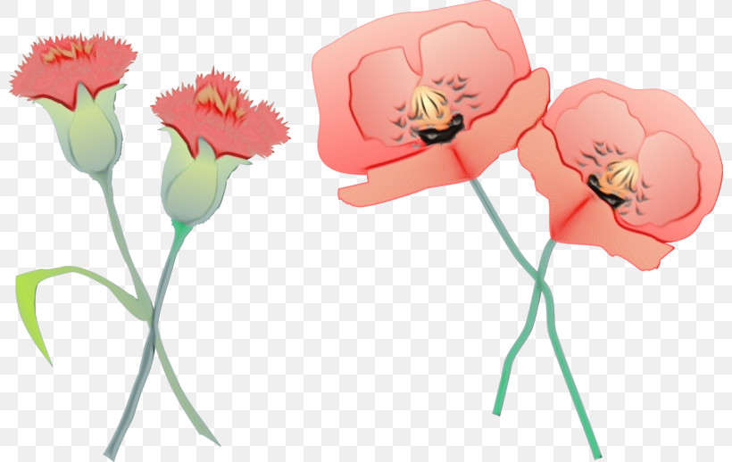 Flower Cut Flowers Pink Petal Plant, PNG, 800x518px, Watercolor, Cut Flowers, Flower, Paint, Pedicel Download Free