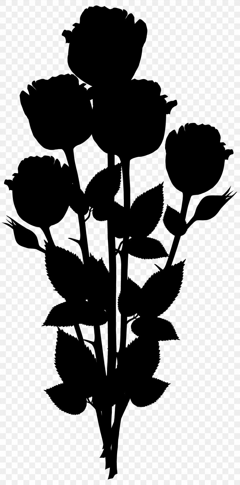 Rose Family Leaf Floral Design, PNG, 3463x7000px, Rose Family, Blackandwhite, Botany, Floral Design, Flower Download Free