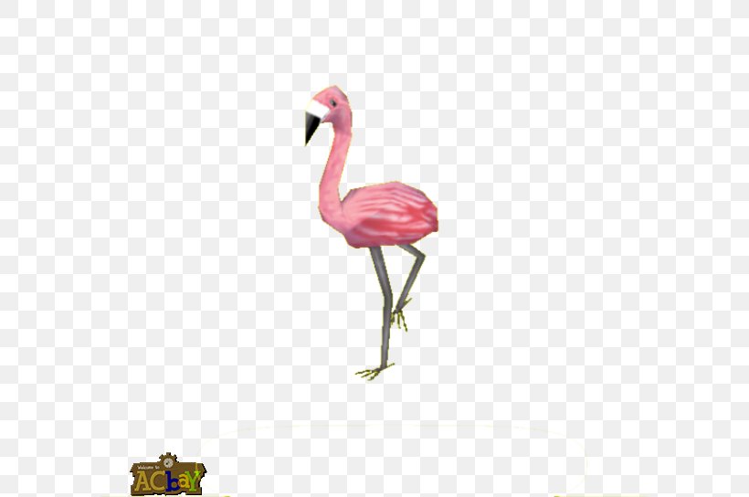 Crane Bird Pink M Beak Neck, PNG, 600x544px, Crane, Beak, Bird, Crane Like Bird, Flamingo Download Free