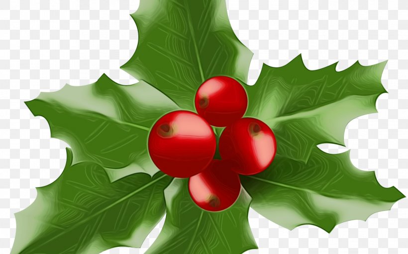 Holly, PNG, 1368x855px, Watercolor, American Holly, Flower, Green, Holly Download Free