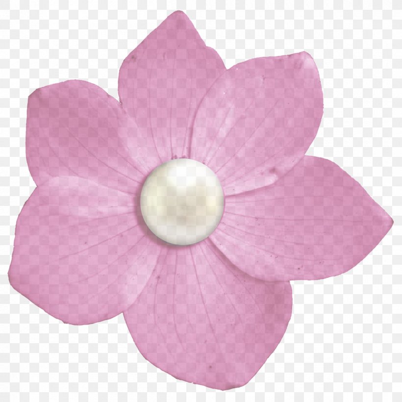 Petal Pink Flower Plant Lilac, PNG, 1200x1200px, Petal, Blossom, Flower, Flowering Plant, Impatiens Download Free