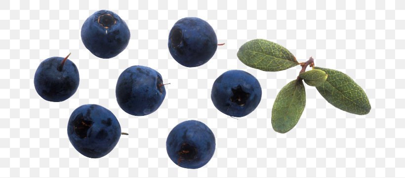 Bilberry European Blueberry, PNG, 760x361px, Bilberry, Blueberry, European Blueberry, Food, Fruit Download Free