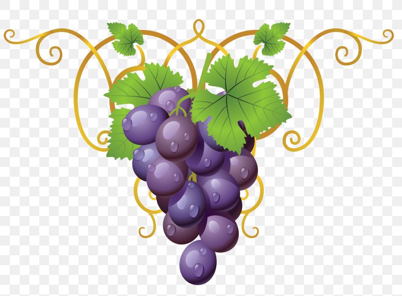 Common Grape Vine Wine Clip Art, PNG, 3277x2412px, Common Grape Vine, Flowering Plant, Food, Fruit, Grape Download Free