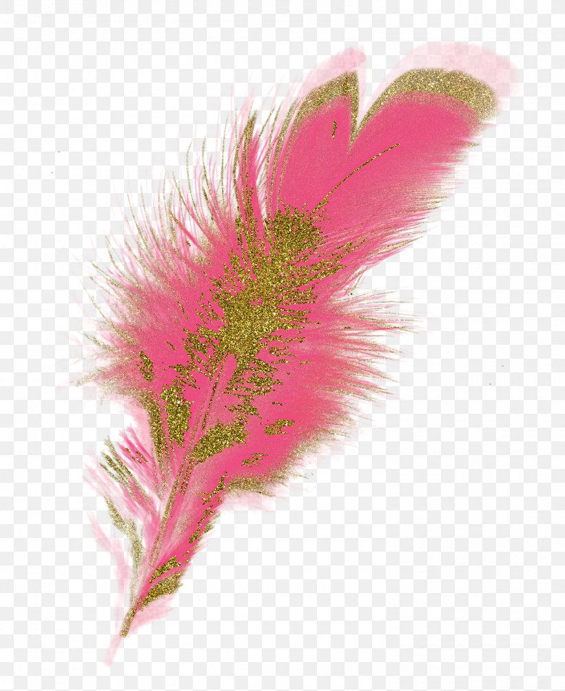 Feather Image Vector Graphics Clip Art, PNG, 1500x1833px, Feather, Bird, Drawing, Fashion Accessory, Flower Download Free