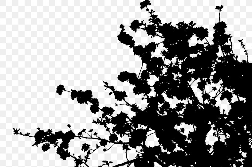 Font Line Silhouette Leaf Flowering Plant, PNG, 1280x850px, Silhouette, Black M, Blackandwhite, Branch, Flowering Plant Download Free