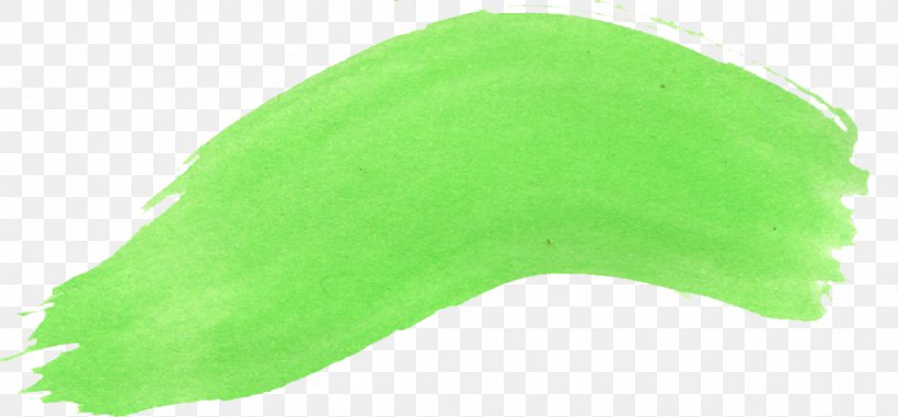 Green Leaf, PNG, 1024x477px, Green, Grass, Leaf, Organism, Tree Download Free
