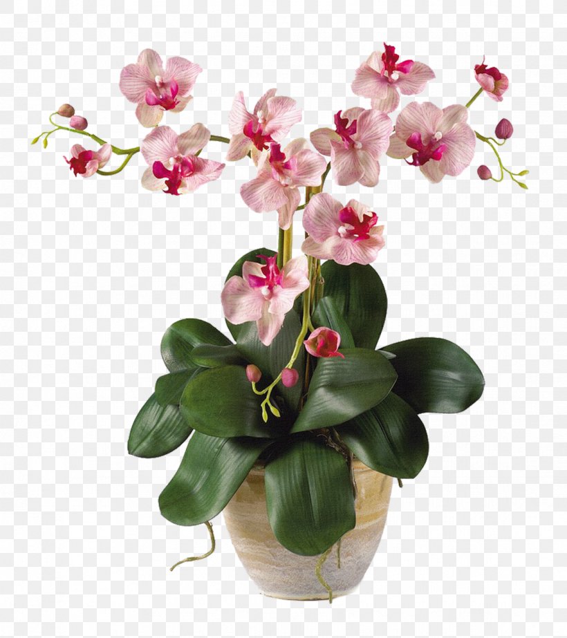 Moth Orchids Artificial Flower Plant Stem, PNG, 1137x1280px, Orchids, Aerial Root, Artificial Flower, Arumlily, Boat Orchid Download Free
