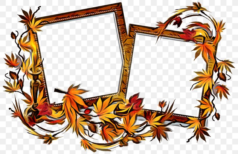 Picture Frame Frame, PNG, 800x533px, Leaf, Picture Frame Download Free