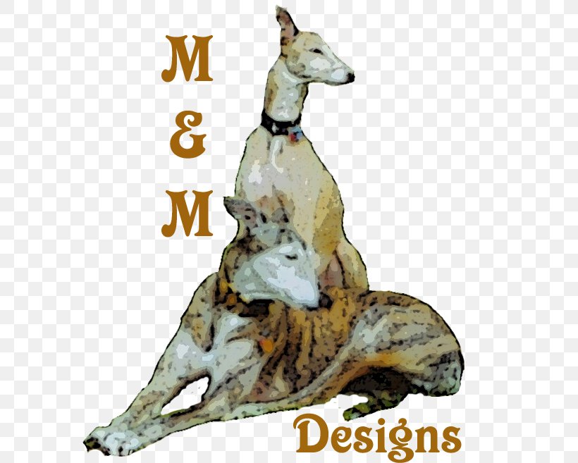 Whippet Italian Greyhound Spanish Greyhound Sloughi, PNG, 597x657px, Whippet, Carnivoran, Clothing, Coat, Dog Download Free