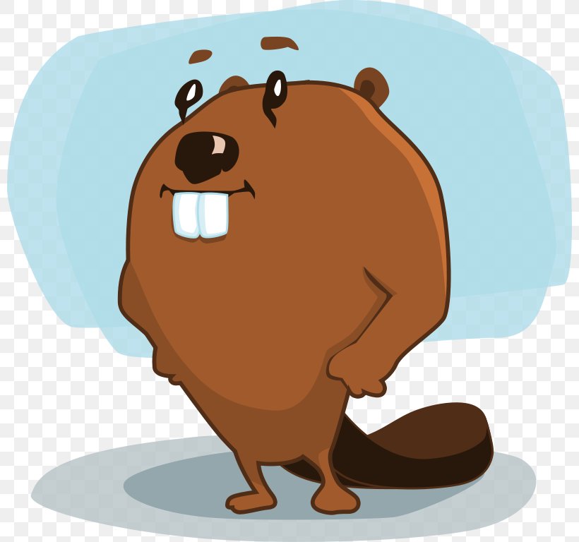 Beaver Cartoon Character Clip Art, PNG, 800x768px, Beaver, Animated Cartoon, Bear, Carnivoran, Cartoon Download Free