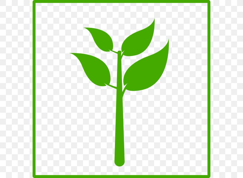 Green Plant Favicon Clip Art, PNG, 600x600px, Green, Brand, Color, Favicon, Flora Download Free