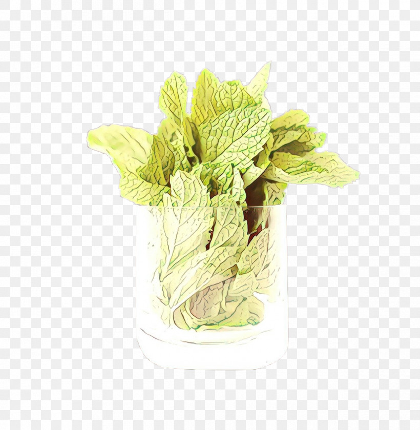 Flower Plant Leaf Romaine Lettuce Leaf Vegetable, PNG, 1250x1280px, Flower, Leaf, Leaf Vegetable, Plant, Romaine Lettuce Download Free