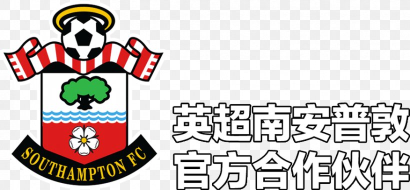 Southampton F.C. Newcastle United F.C. St Mary's Stadium Manchester City F.C. Manchester United F.C., PNG, 876x407px, Southampton Fc, Area, Brand, Crest, English Football League Download Free