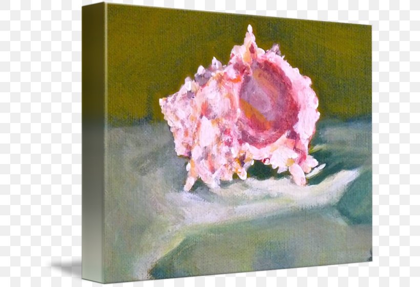Still Life Photography Watercolor Painting Conch Seashell, PNG, 650x560px, Still Life, Artwork, Conch, Flower, Organism Download Free