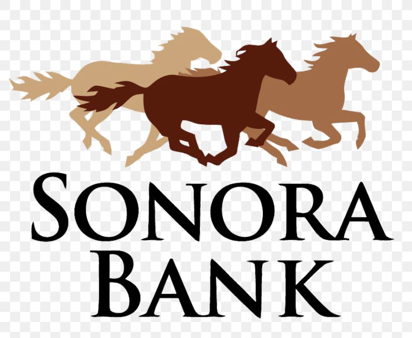 The First National Bank Of Sonora The First National Bank Of Sonora Loan Officer Sonora Bank, PNG, 800x672px, Bank, Brand, Credit, First National Bank Of Sonora, Horse Download Free