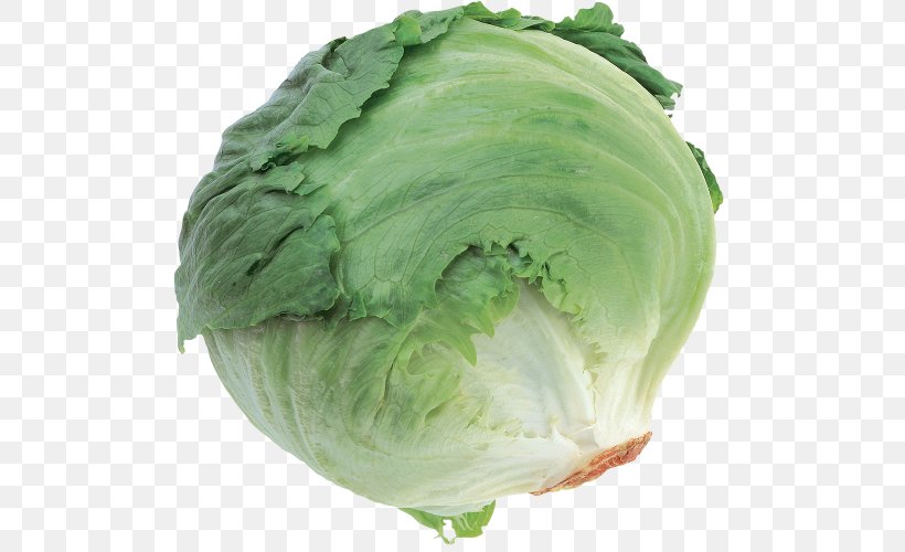 Cruciferous Vegetables Cabbage Collard Greens Spring Greens, PNG, 600x500px, Cruciferous Vegetables, Brassica Oleracea, Broccoli, Brussels Sprout, Cabbage Download Free
