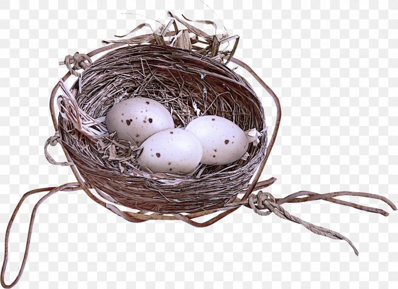 Egg, PNG, 1937x1409px, Bird Nest, Egg, Nest Download Free