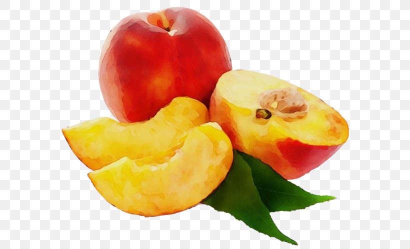 Food Yellow Fruit Plant Natural Foods, PNG, 600x498px, Watercolor, Accessory Fruit, Food, Fruit, Natural Foods Download Free