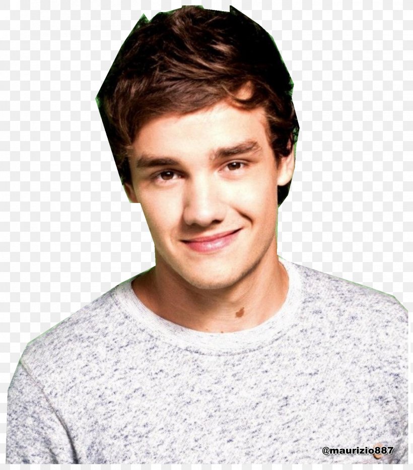 Liam Payne Wolverhampton The X Factor One Direction Up All Night, PNG, 1406x1600px, Watercolor, Cartoon, Flower, Frame, Heart Download Free