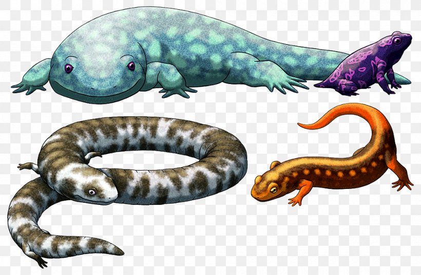 Reptile Salamander Lissamphibia Animal Eocaecilia, PNG, 1000x655px, Reptile, Amphibian, Animal, Aquatic Animal, Dinosaur Download Free