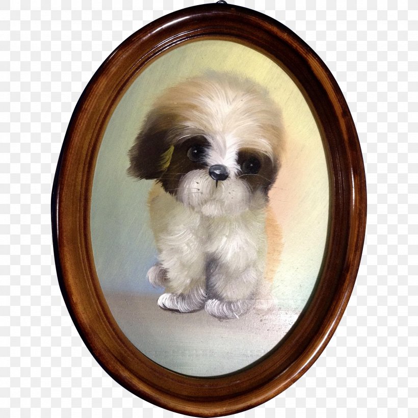 Shih Tzu Chinese Imperial Dog Puppy Dog Breed Toy Dog, PNG, 2048x2048px, Shih Tzu, Animal, Breed, Canidae, Carnivora Download Free