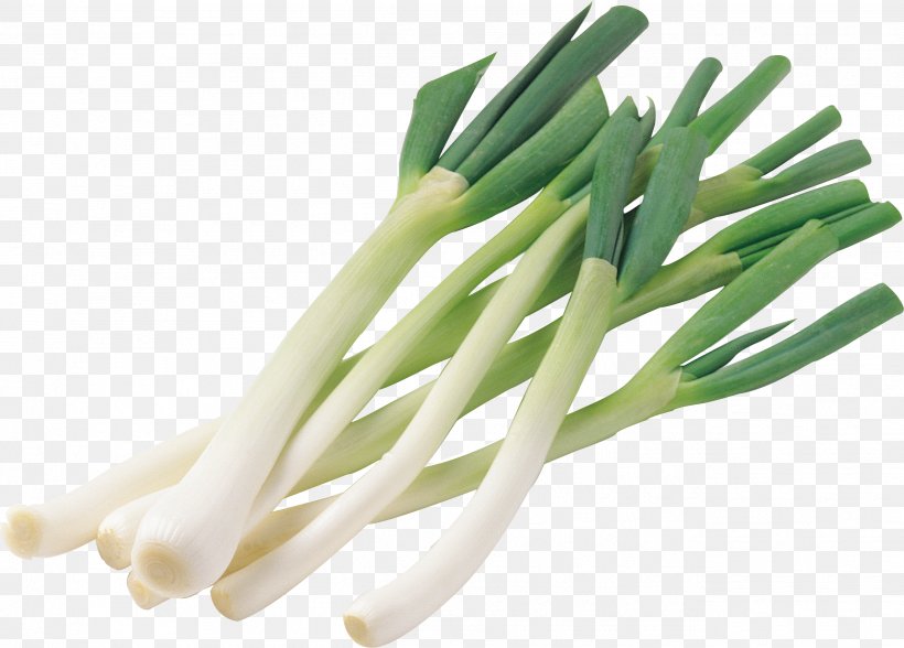 Welsh Onion Scallion Image, PNG, 2633x1891px, Onion, Asparagus, Chives, Commodity, Common Bean Download Free