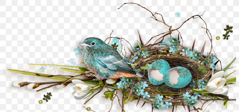Easter Bird Nest Holiday Clip Art, PNG, 800x387px, Easter, Beak, Bird, Bird Nest, Branch Download Free
