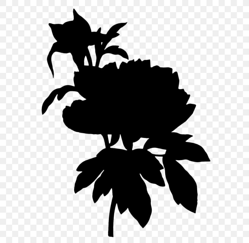 Flower Drawing You Are In My Thoughts Illustration 0, PNG, 578x800px, 2018, Flower, Art, Blackandwhite, Botanical Illustration Download Free