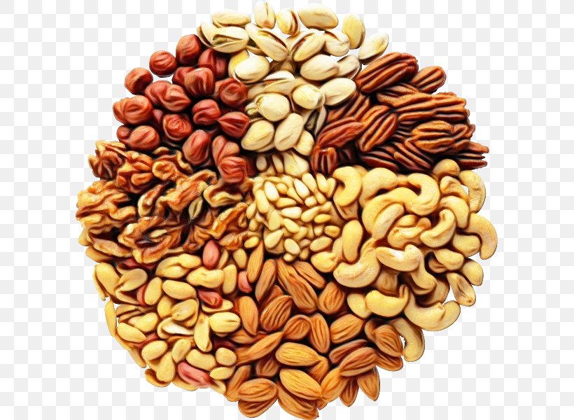 Food Nut Ingredient Nuts & Seeds Plant, PNG, 603x600px, Watercolor, Cuisine, Food, Ingredient, Mixed Nuts Download Free