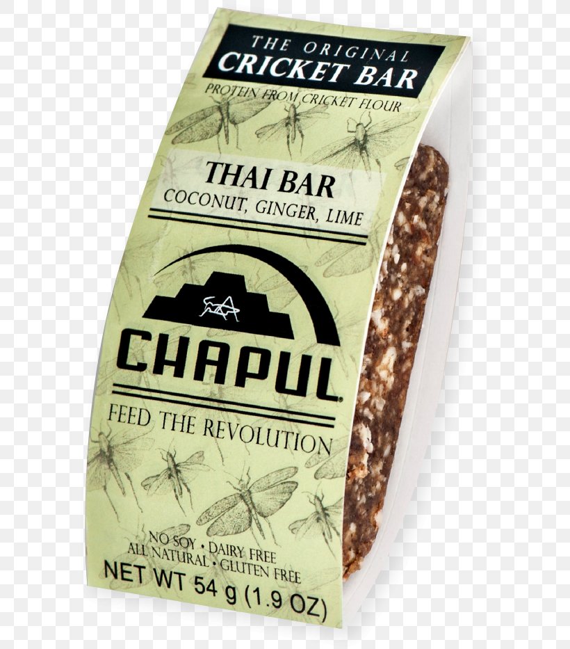 Insect Cricket Flour Food Thai Cuisine, PNG, 603x933px, Insect, Bar, Cricket, Cricket Flour, Eating Download Free
