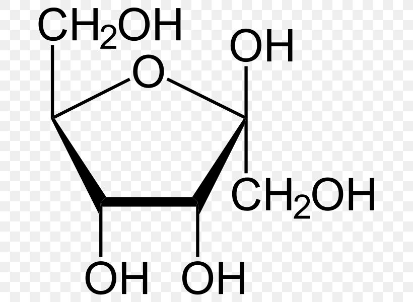Ribose Monosaccharide Haworth Projection Fructose Hydroxy Group, PNG, 702x600px, Ribose, Area, Biology, Black, Black And White Download Free