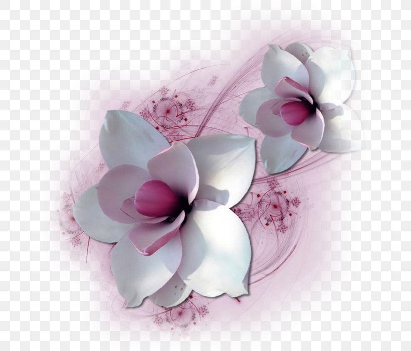 Cut Flowers Petal Floral Design Flower Bouquet, PNG, 650x700px, Flower, Blossom, Cut Flowers, Fantasy, Floral Design Download Free