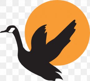 Free Download Of Goose Icon Clipart - Goose Photography Royalty-free Clip Art PNG