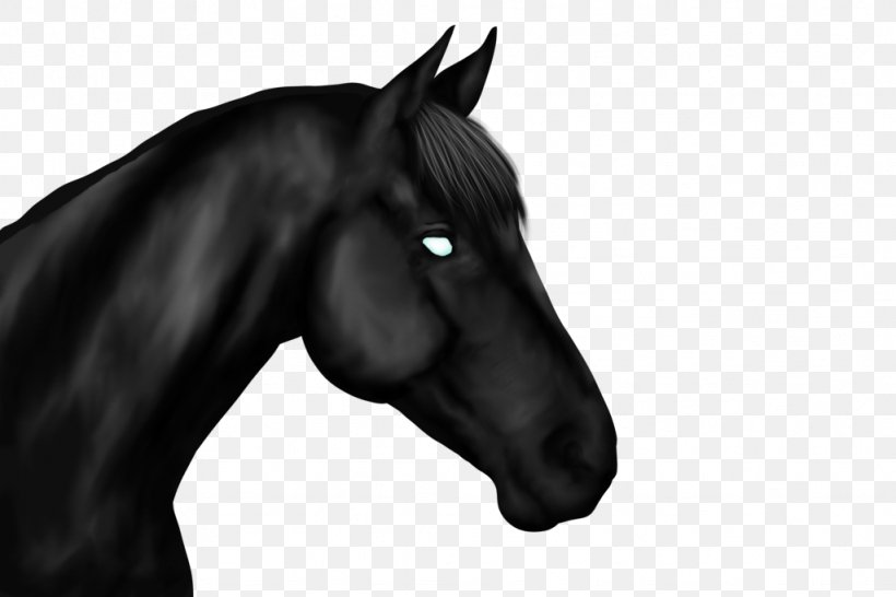 Mane Mustang Stallion Halter Rein, PNG, 1024x683px, Mane, Black, Black And White, Bridle, Colt Download Free