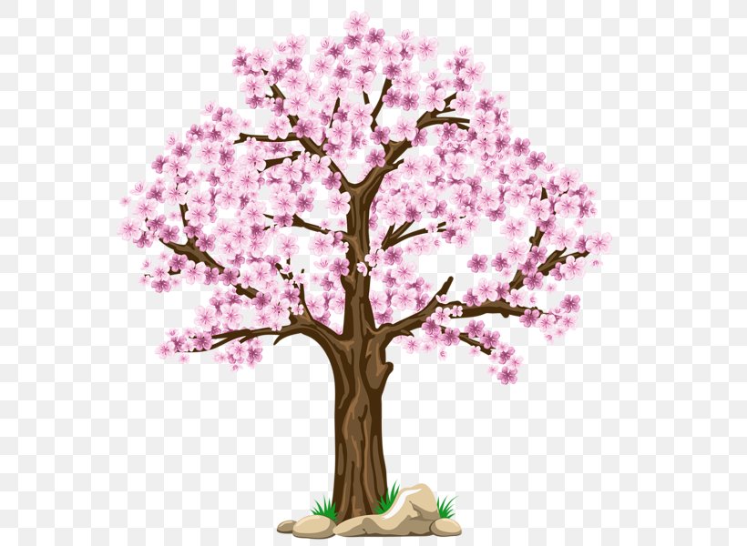 Tree Clip Art, PNG, 577x600px, Tree, Blossom, Branch, Cherry Blossom, Flower Download Free
