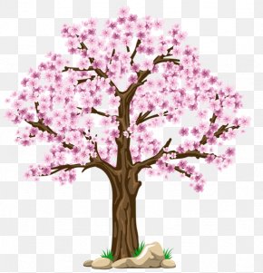 Cherry Tree - Tree Clip Art PNG