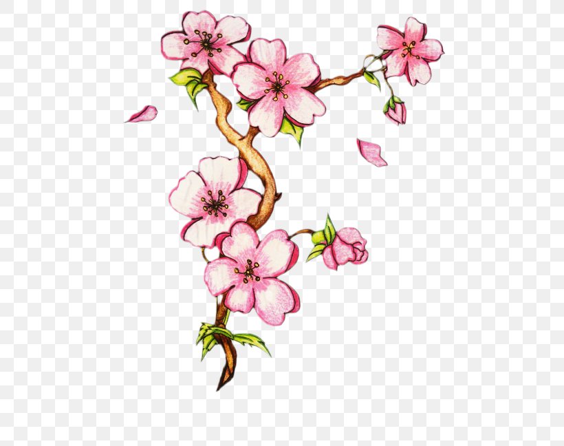 Flower Drawings Flower Drawings Floral Design Watercolor Painting, PNG, 499x648px, Drawing, Blossom, Botany, Branch, Cherry Blossom Download Free